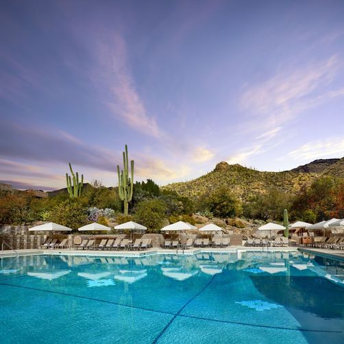 Odoo • Text and Image